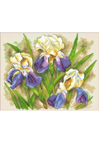 385 Канва с рисунком (33 * 33 см)