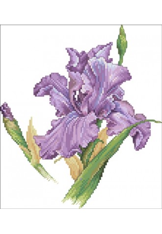 699 Канва с рисунком (30 * 33 см)