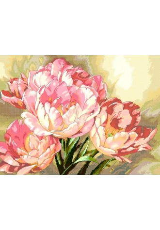 809 Канва с рисунком (33 * 50 см)