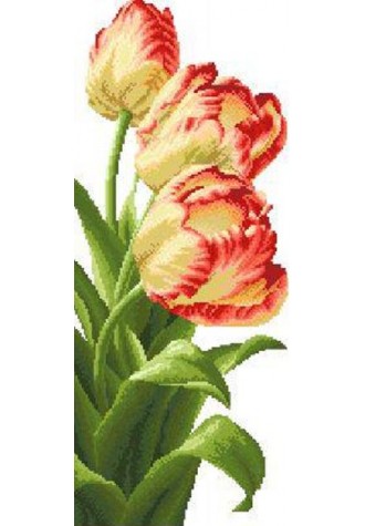 945 Канва с рисунком (33 * 55 см)